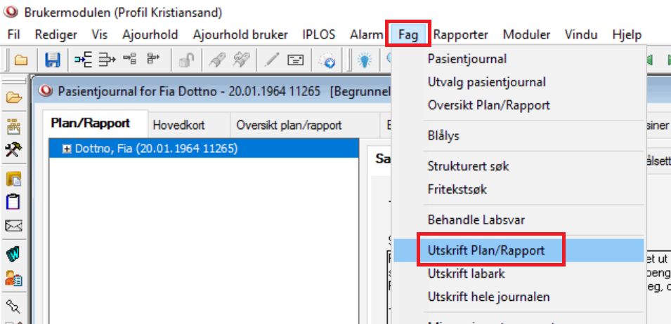 Utskrift_plan-rapport.png