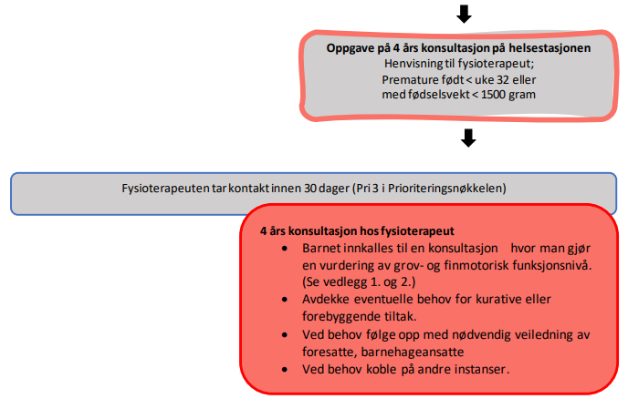 Prematurforlop_bilde_2.PNG