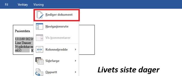 visning_rediger_dokument.jpg