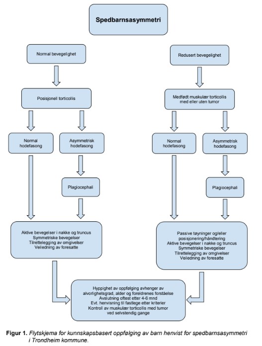 FYSIOPRIM_Spedbarnasymmetri.jpg