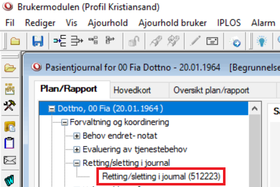 FOK_-_Retting_og_sletting_i_journal.png